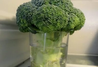 Сколько хранятся брокколи в холодильнике