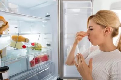 Почему появляется неприятный запах в холодильнике