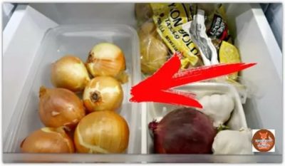 Сколько может храниться лук в холодильнике