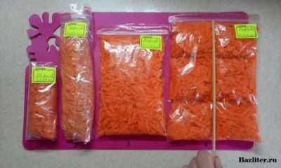 Можно ли хранить морковь в морозильной камере