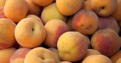 Как заморозить персики для ребенка