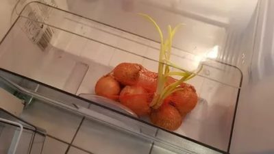 Можно ли хранить лук в холодильнике