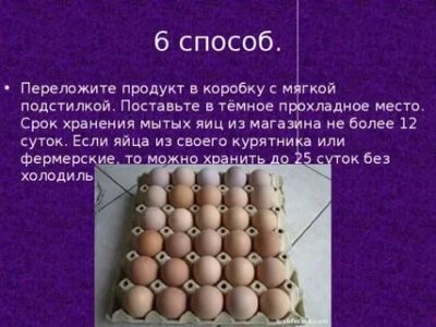 Как долго можно хранить яйца без холодильника