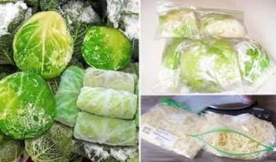 Как хранить разрезанную капусту в холодильнике