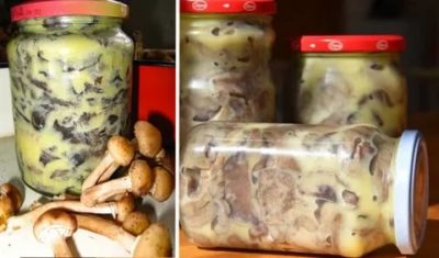 Сколько можно хранить жареные грибы в морозилке