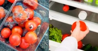Как сохранить свежие помидоры в холодильнике