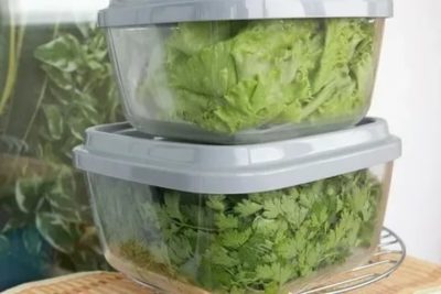 Как долго хранить зелень в холодильнике