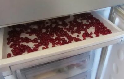 Как хранить ягоды в морозилке