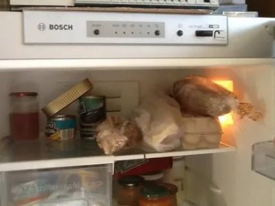 Почему не морозит холодильник Бош